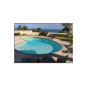 kidney inground pool