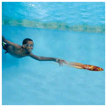 swimways toypedo 11.5