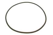 Pentair 39010200Z FNS Plus/ RPM Clamp O-Ring - OEM