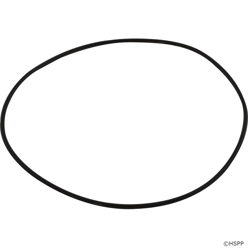 CareTaker 1-13-39 Leaf-B-Gone O-Ring