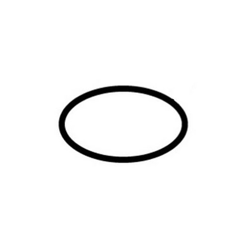 Hayward Adapter O-Ring