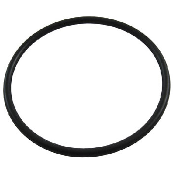 Hayward Strainer O-Ring