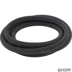 Jacuzzi 47056999R Triclops & Earthworks Tank O-ring  20