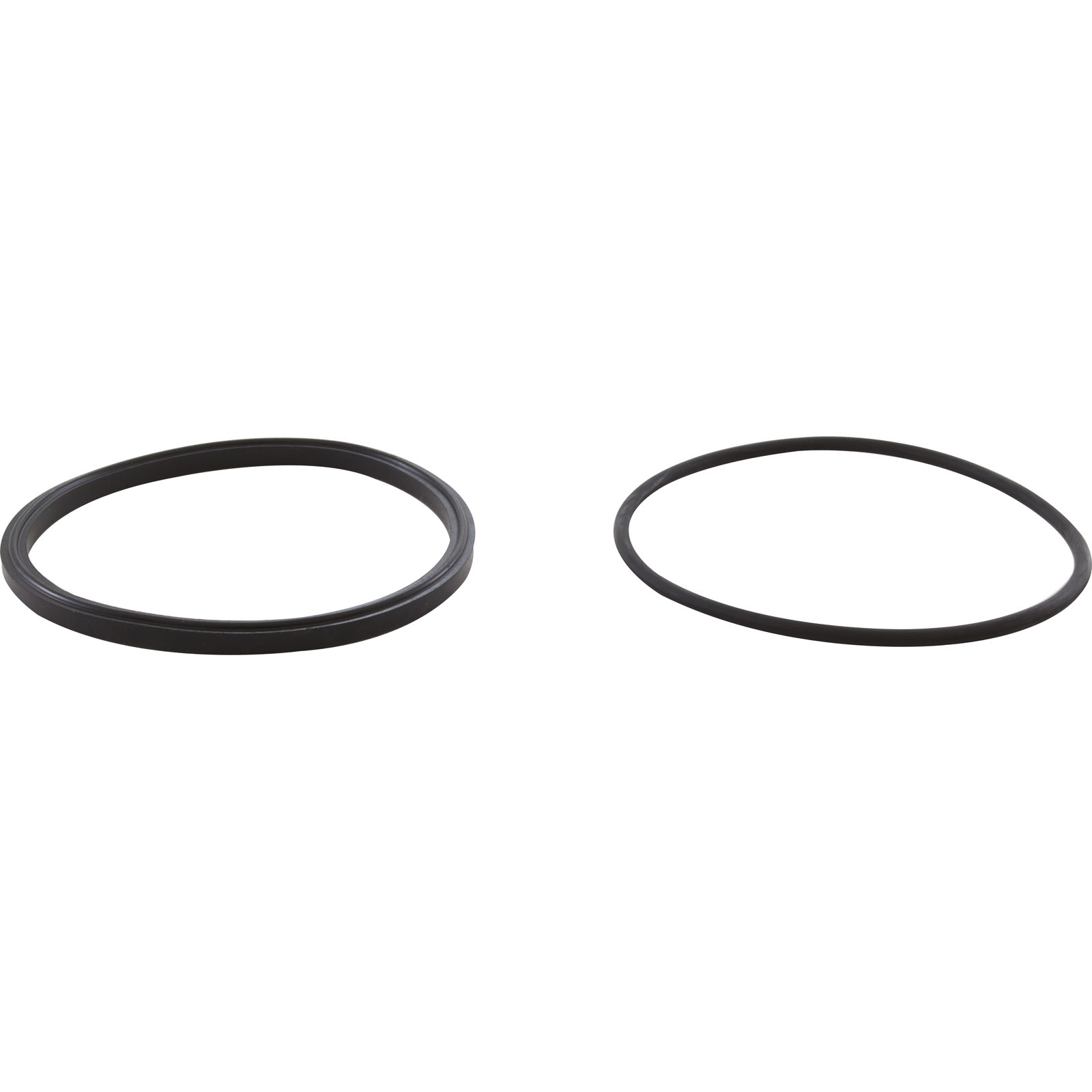 Jandy R0449100 Pump Lid O-Ring