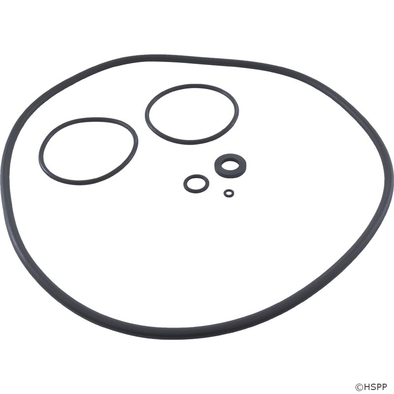 Jandy R0466300 O-Ring Kit CS Series