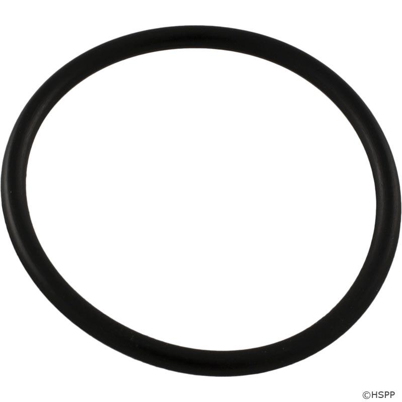 Pentair R172319 O-Ring, Bottom - Inline